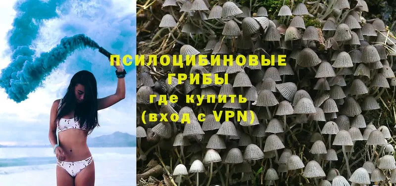 Галлюциногенные грибы Magic Shrooms  дарнет шоп  Камышин 